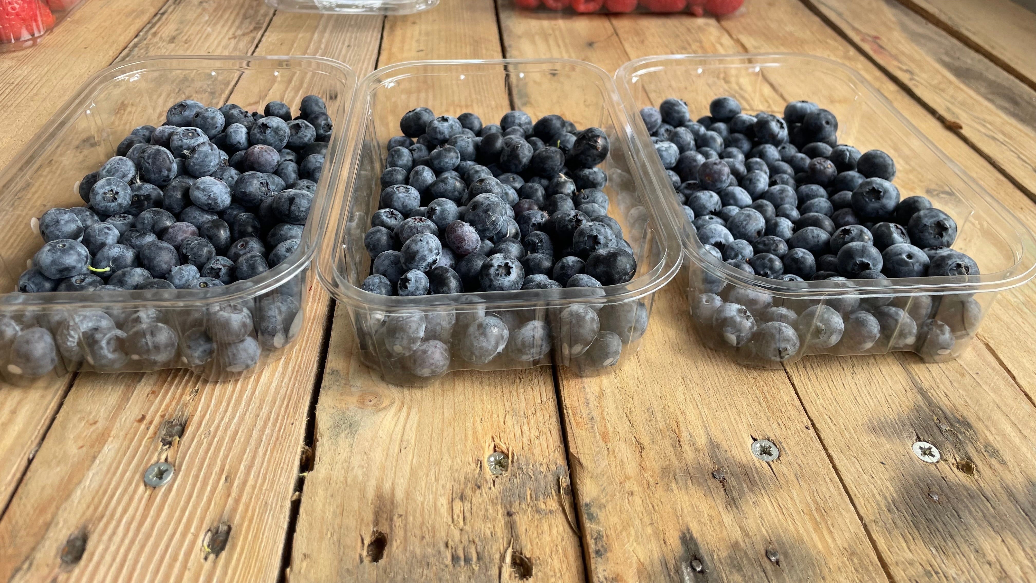 Billington Farm Blueberries