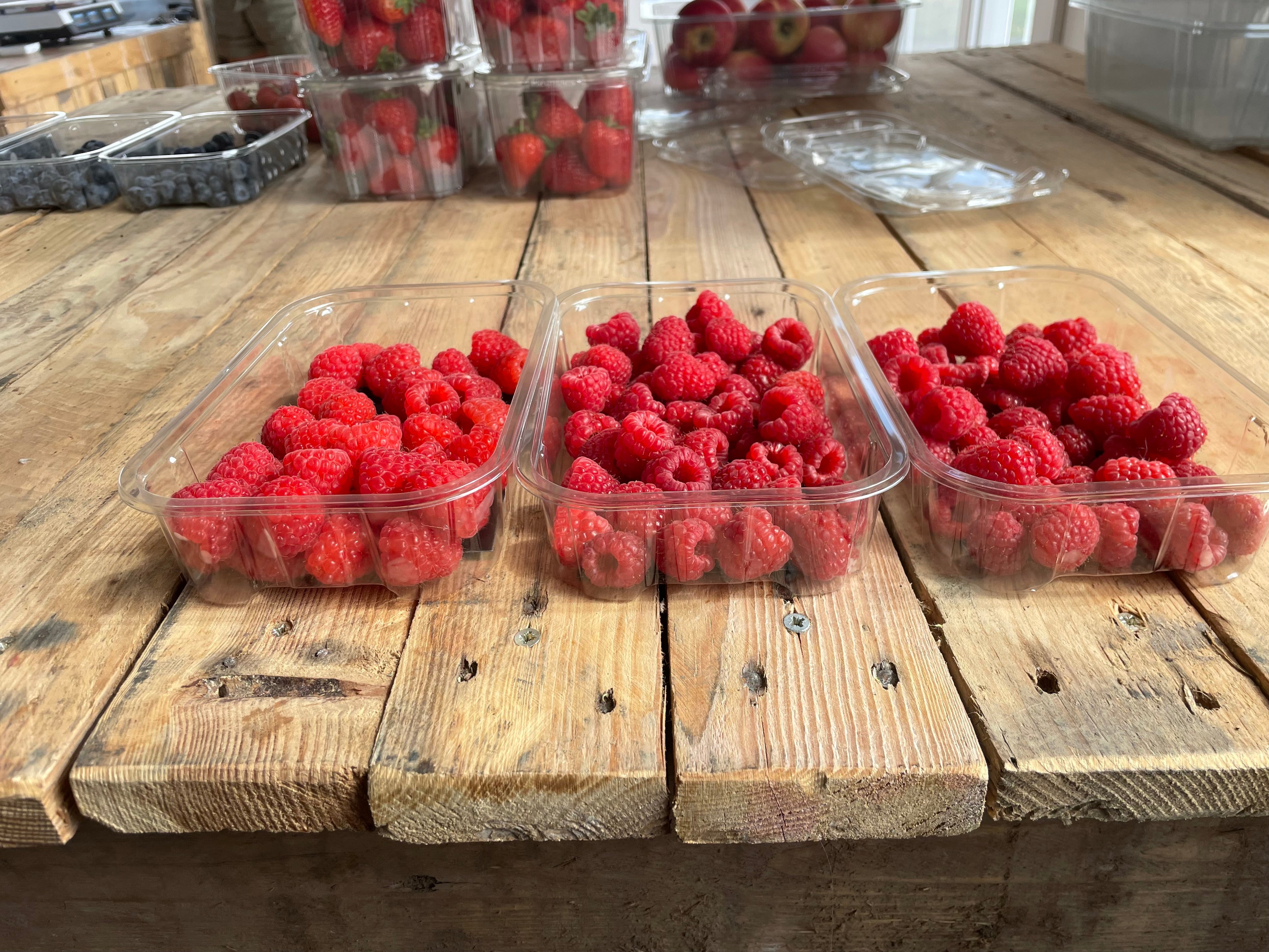 Billington Farm Raspberries