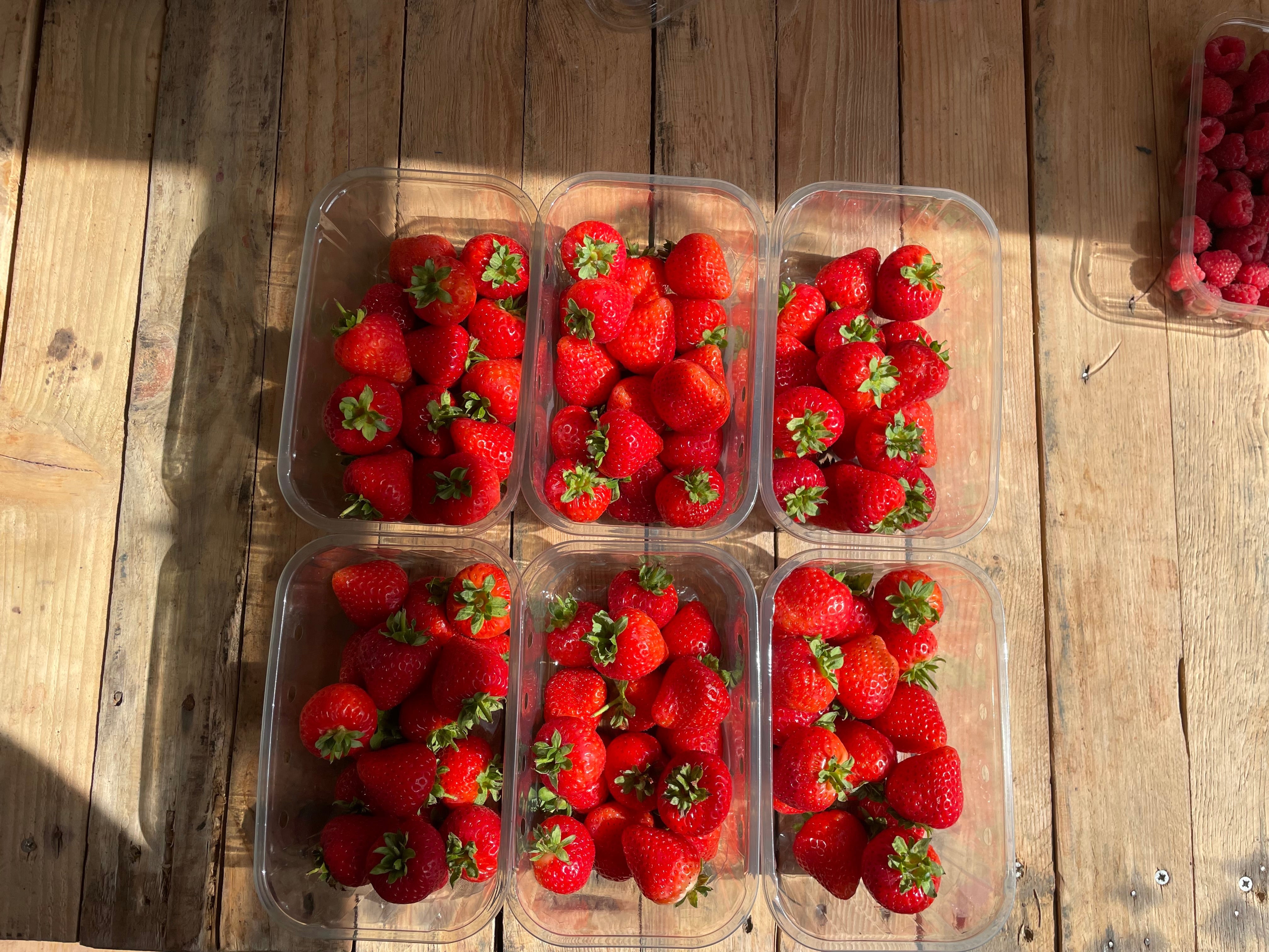Billington Farm Strawberries